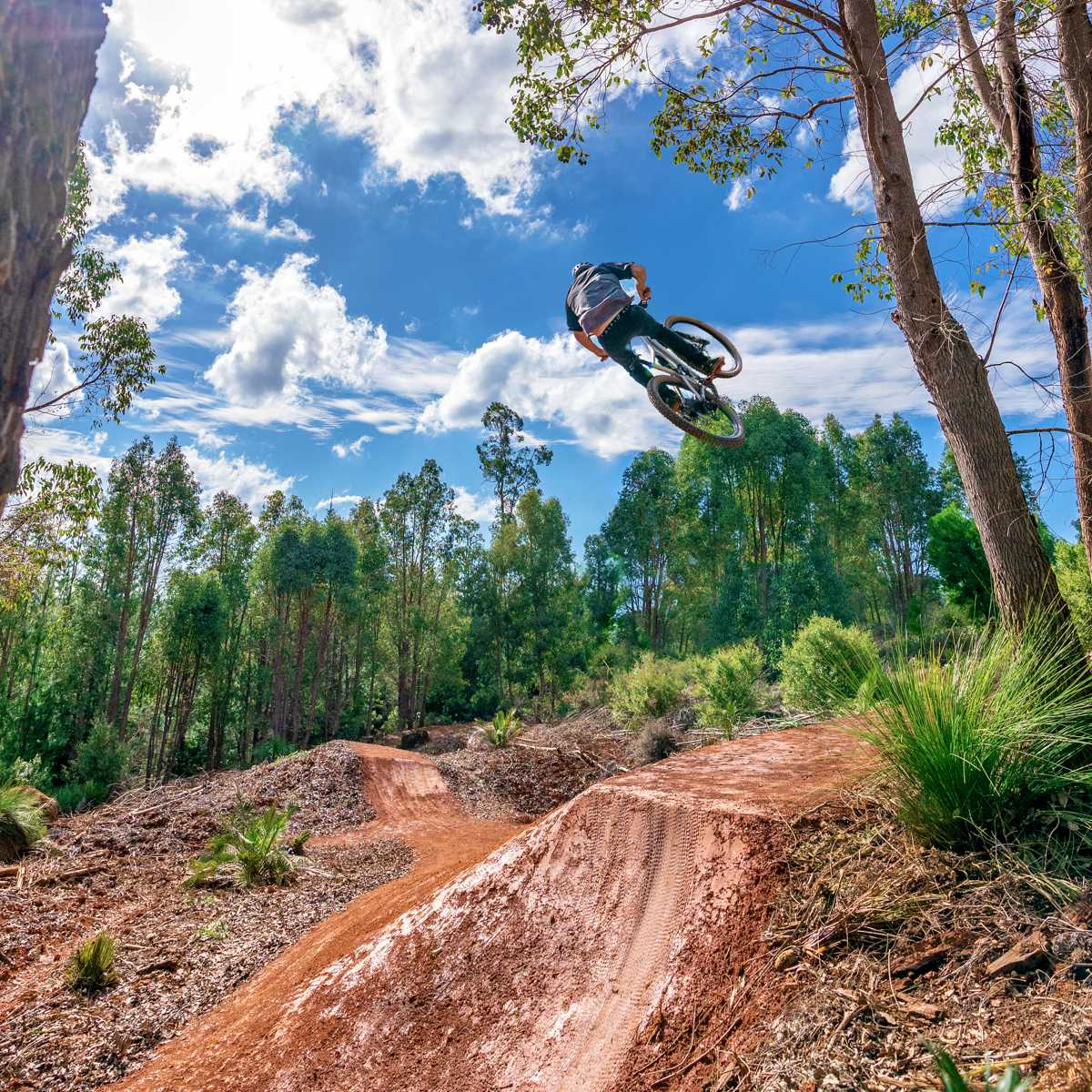 Australia's best summer mountain bike trails